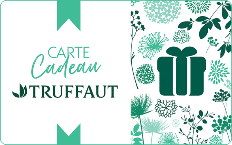 Truffaut